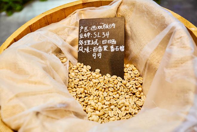 验咖啡文化深入了解背后的文化故事AG真人登录普洱北归咖啡庄园体(图3)