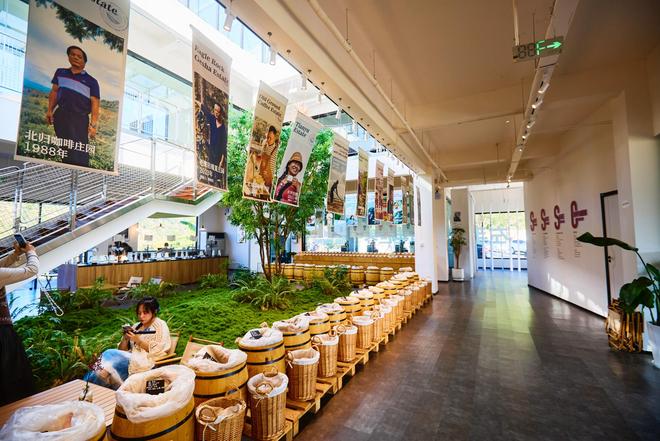 验咖啡文化深入了解背后的文化故事AG真人登录普洱北归咖啡庄园体(图7)