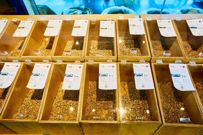 验咖啡文化深入了解背后的文化故事AG真人登录普洱北归咖啡庄园体(图2)